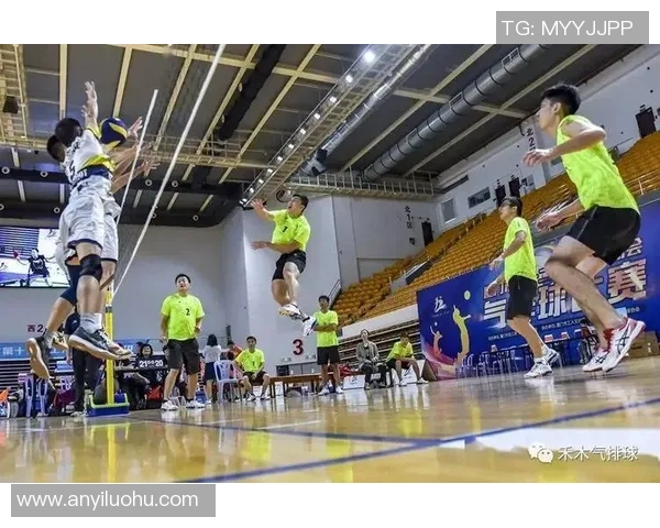 武汉排球队实力解析与发展前景展望全面剖析排球运动的魅力与挑战